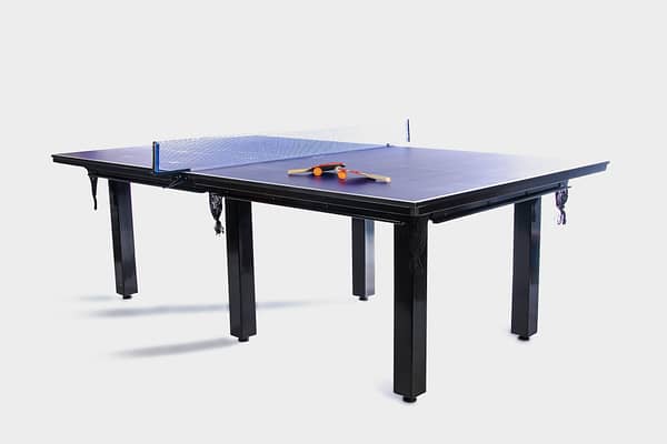 Table Tennis Top 071620822